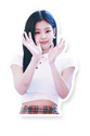 Load image into Gallery viewer, about:5.5-8.5cm blackpink fashion waterproof stickers (52 pcs/pack)
